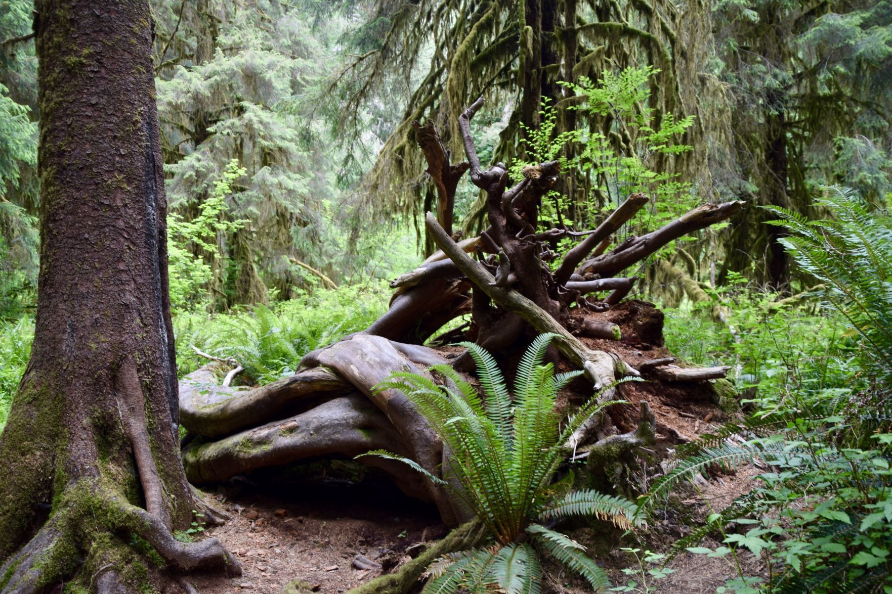 Travel story on Washington state